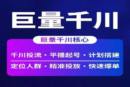 SEM推广策略：成功案例解析